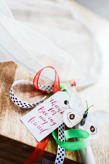 Butterfly Catcher Party Favor