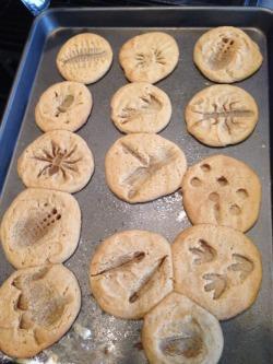 Cookie Fossils