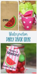 watermelon party favor ideas